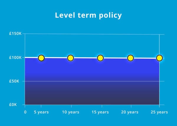 what is level term life insurance